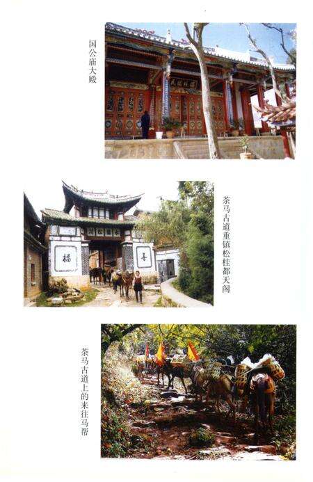 《鹤庆东区人文志》.pdf_云南省志预览图4