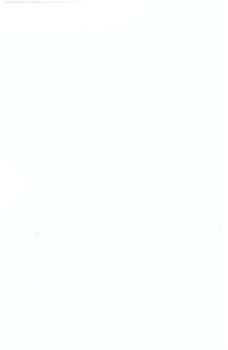 《兴蒙蒙古族乡志》.pdf_云南省志预览图3