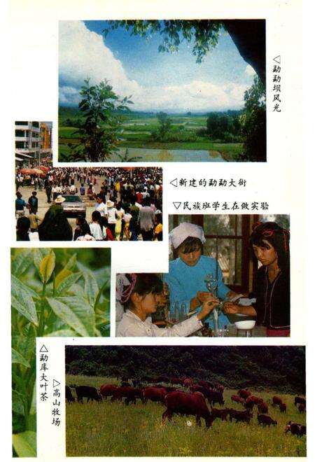 《双江拉祜族佤族布朗族傣族自治县民族志》.pdf_云南省志预览图5