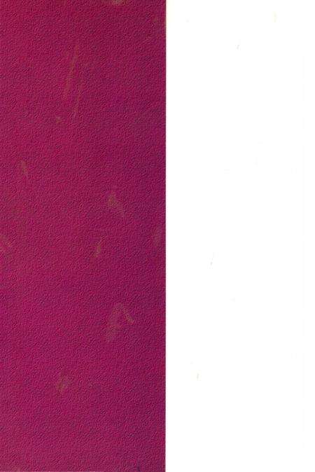 《新平彝族傣族自治县民政志》.pdf_云南省志预览图1