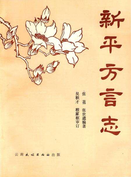 《新平方言志》.pdf_云南省志缩略图