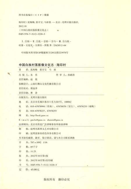 《中国白族村落影像文化志  海印村》.pdf_云南省志预览图5