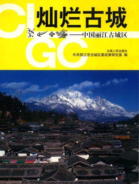 《中国丽江古城区》.pdf_云南省志缩略图