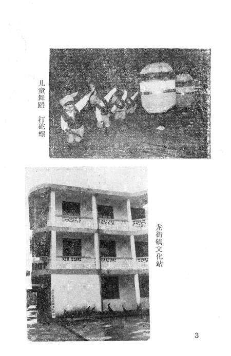 《瀓江县文化志》.pdf_云南省志预览图4