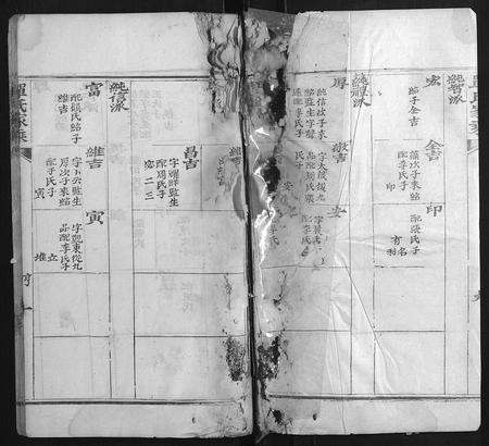 天津单氏-单氏家乘.pdf电子版预览图2