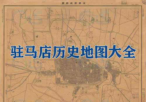 解放战争《巨金鱼战役经过要图》缩略图