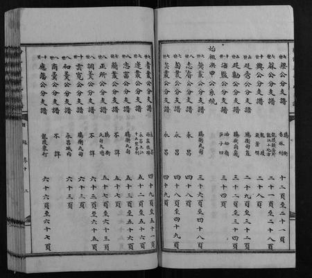 云南董氏-腾龙梁董氏族谱 [16卷].pdf电子版预览图2