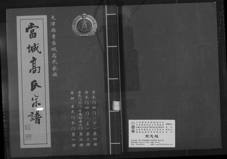 天津高氏-当城高氏族谱[4册].pdf电子版缩略图