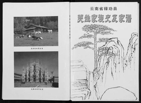 云南关氏-云南省禄劝县关姓家族史及家谱 [不分卷](别名：云南省禄劝县关姓家族史及家谱).pdf电子版缩略图