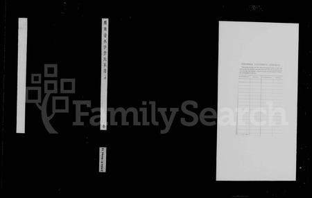 云南李氏-腾冲叠水河李氏家谱(别名：腾冲叠水沙李氏家谱).pdf电子版预览图2