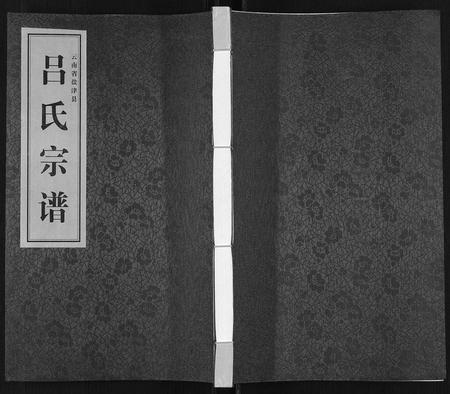 云南吕氏-吕氏宗谱[不分卷].pdf电子版缩略图