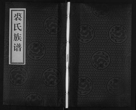 天津裘氏-裘氏族谱.pdf电子版缩略图