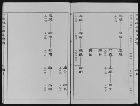 天津孙氏-中华乐安孙氏总谱.pdf电子版预览图4