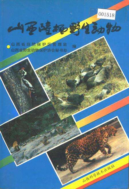 《山西陆栖野生动物》.pdf_山西省志缩略图