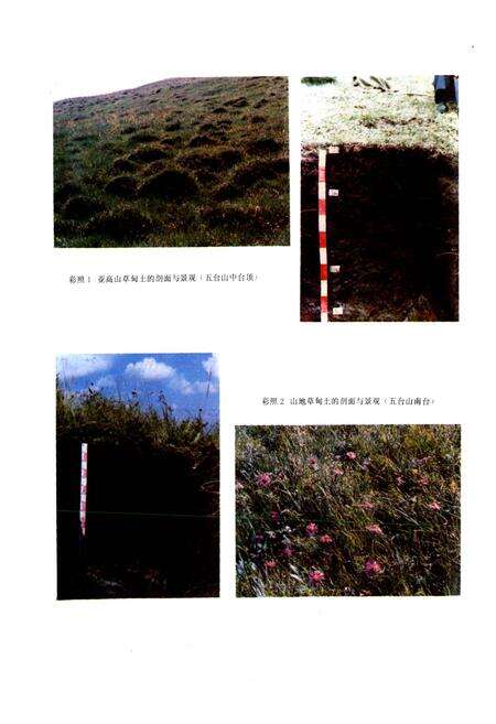 《山西土壤》.pdf_山西省志预览图3