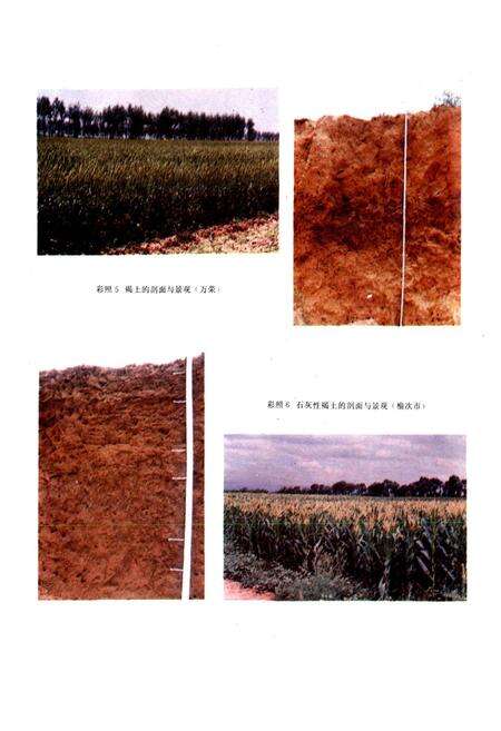 《山西土壤》.pdf_山西省志预览图5