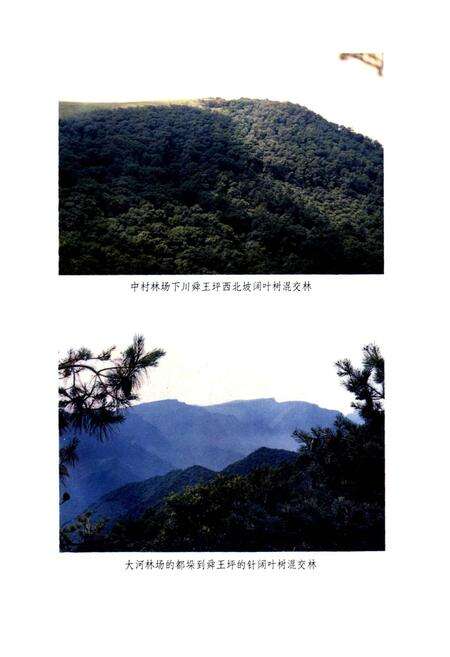 《山西中条山木材志》.pdf_山西省志预览图5