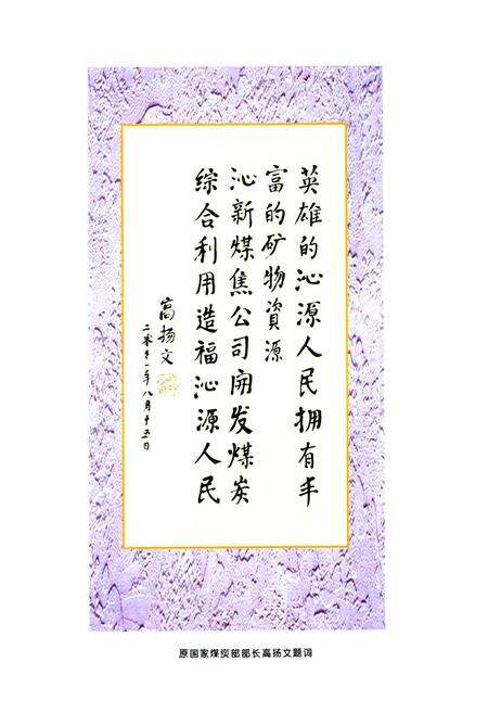 《山西沁新公司志》.pdf_山西省志预览图4