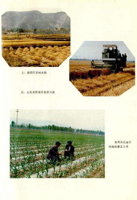 《太原农牧志》.pdf_山西省志预览图4