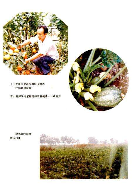 《太原农牧志》.pdf_山西省志预览图5