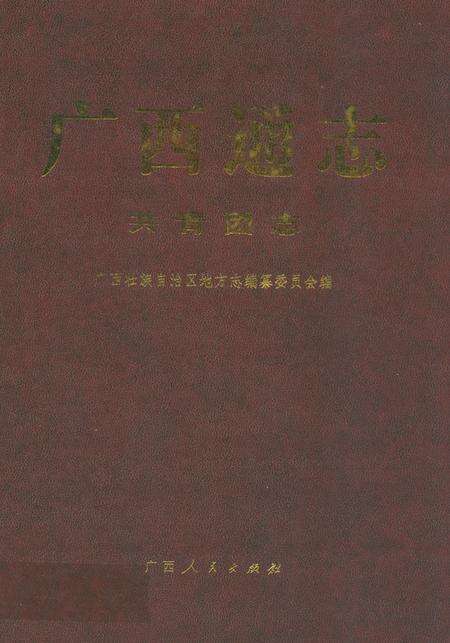 《广西通志·共青团志》.pdf_广西壮族自治区志缩略图