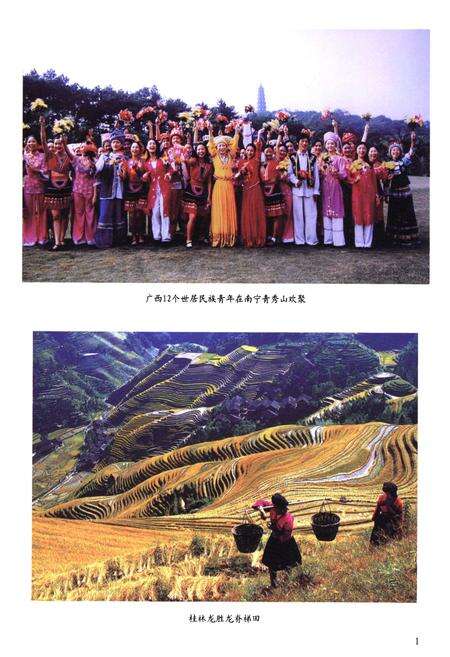 《广西通志·人民生活志(古代-2000)》.pdf_广西壮族自治区志预览图5