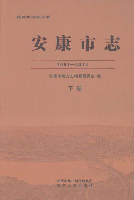 《安康市志1991-2013下册》.pdf电子版_陕西省志缩略图