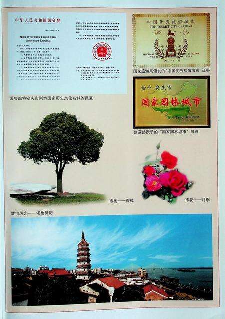 《安庆市志(1978-2000)上》.pdf电子版_安徽省志预览图2