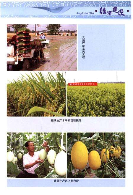 《巢湖市志(1991-2005)下册》.pdf电子版_安徽省志预览图2