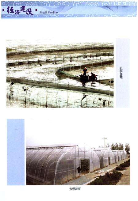 《巢湖市志(1991-2005)下册》.pdf电子版_安徽省志预览图3