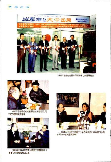 《成都市志 对外经济贸易志》.pdf电子版_四川省志预览图4