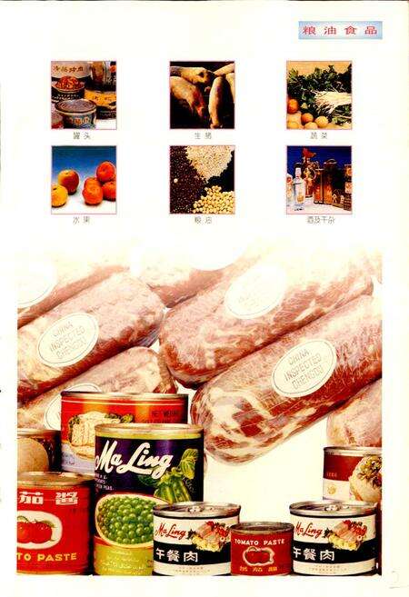 《成都市志 对外经济贸易志》.pdf电子版_四川省志预览图5