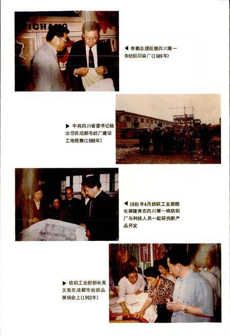 《成都市志 纺织工业志》.pdf电子版_四川省志预览图4