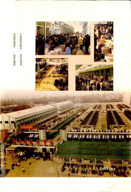 《成都市志 工商行政管理志》.pdf电子版_四川省志预览图5