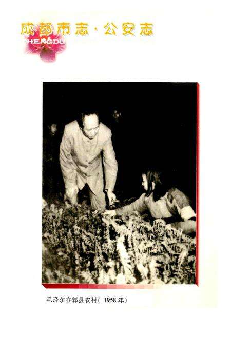 《成都市志 公安志》.pdf电子版_四川省志预览图2