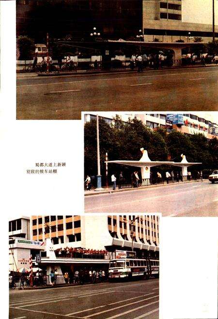 《成都市志 公用事业志》.pdf电子版_四川省志预览图4