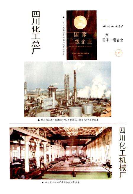 《成都市志 化学工业志》.pdf电子版_四川省志预览图4