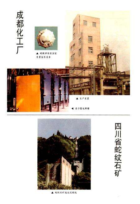 《成都市志 化学工业志》.pdf电子版_四川省志预览图5