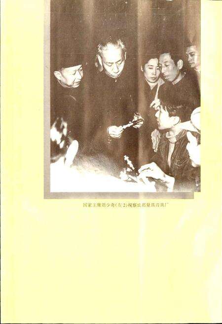 《成都市志 机械工业志》.pdf电子版_四川省志预览图4