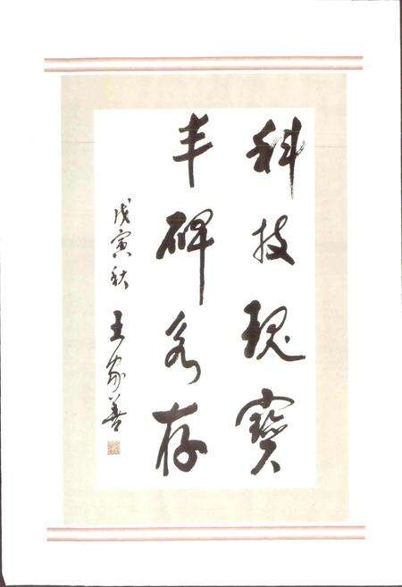 《成都市志 科学技术志（上册）》.pdf电子版_四川省志预览图4