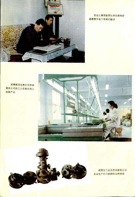 《成都市志 劳动志》.pdf电子版_四川省志预览图4