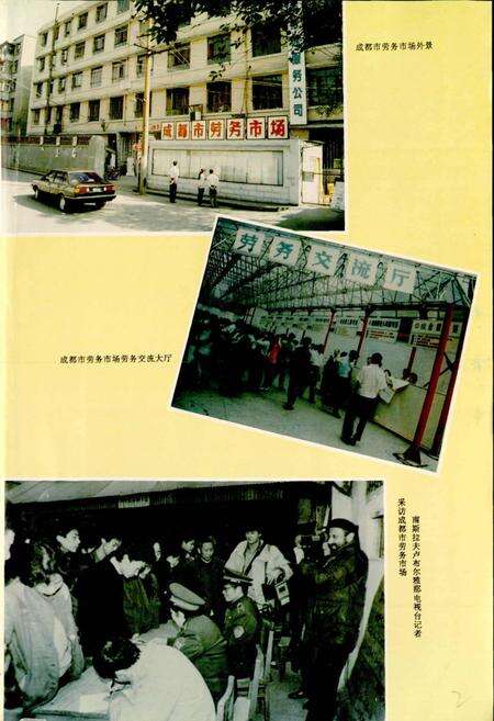 《成都市志 劳动志》.pdf电子版_四川省志预览图5