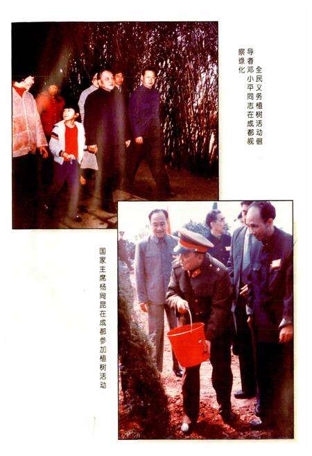 《成都市志 林业志》.pdf电子版_四川省志预览图3