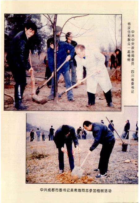 《成都市志 林业志》.pdf电子版_四川省志预览图4