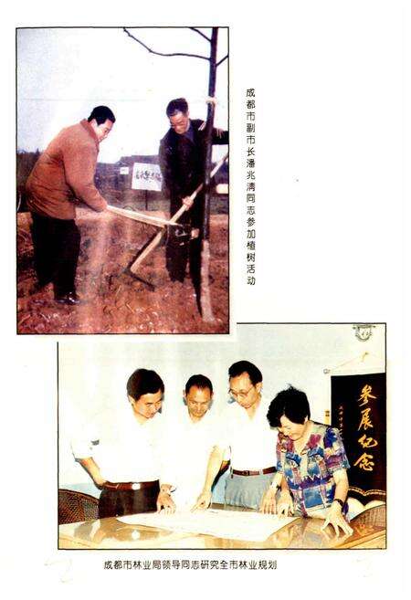 《成都市志 林业志》.pdf电子版_四川省志预览图5