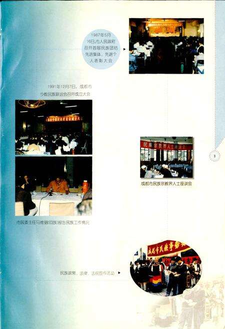 《成都市志 民族志》.pdf电子版_四川省志预览图5