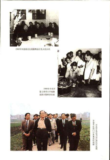 《成都市志 农业志》.pdf电子版_四川省志预览图5