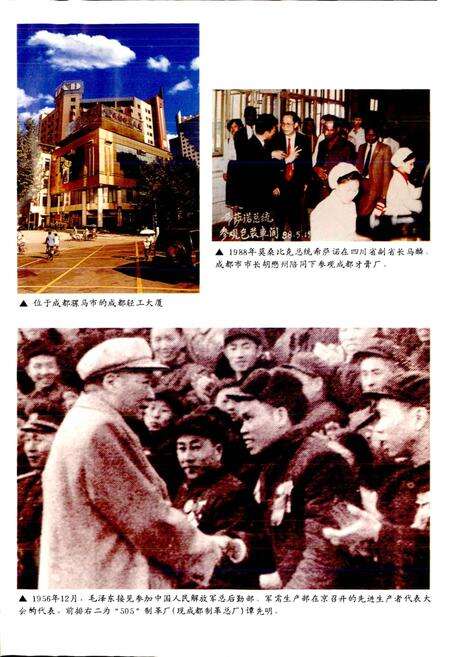 《成都市志 轻工业志》.pdf电子版_四川省志预览图3