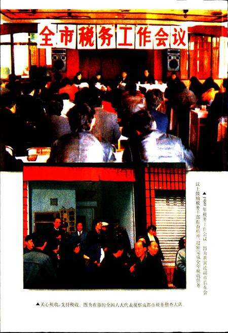 《成都市志 税务志》.pdf电子版_四川省志预览图4