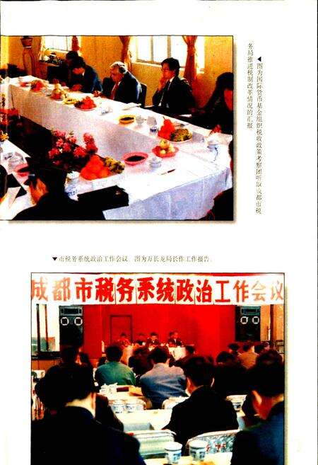 《成都市志 税务志》.pdf电子版_四川省志预览图5